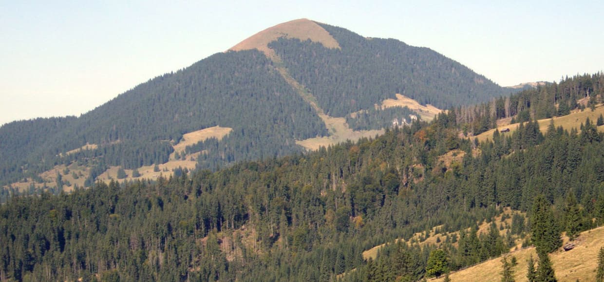 Area Image 1